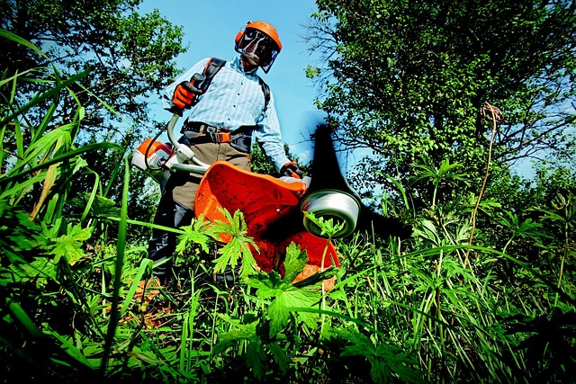 garden, grass cutter, gardening, nature, grass, man, outdoors, person, tools, gardener, green grass